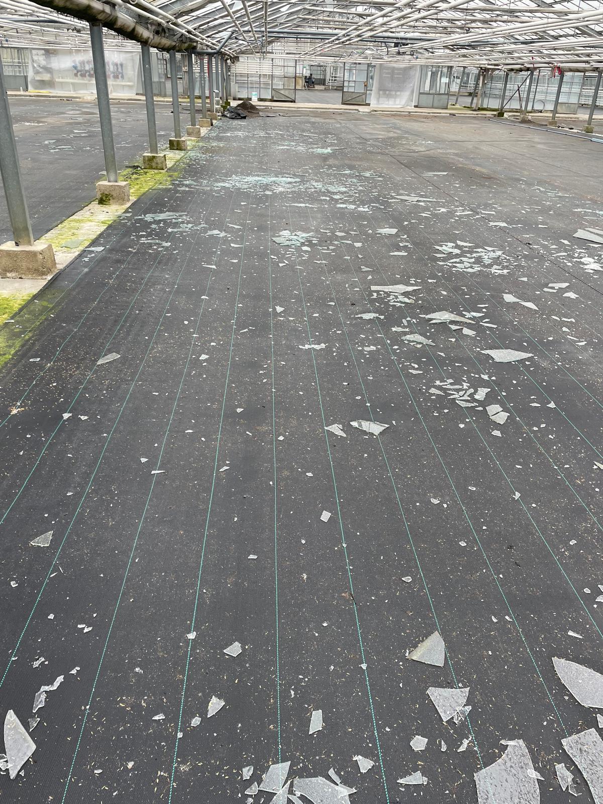 Abbrucharbeiten eines Gewaechshauses