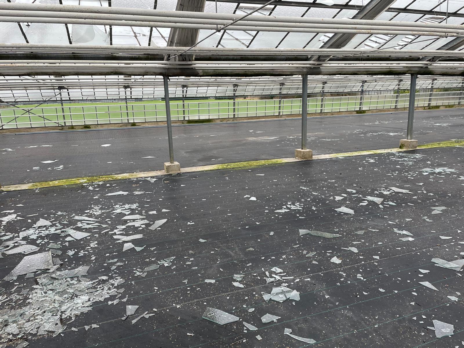 Abbrucharbeiten eines Gewaechshauses